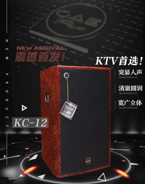 【草莓视频污在线观看音响】室外广场舞台音响拾音妙招